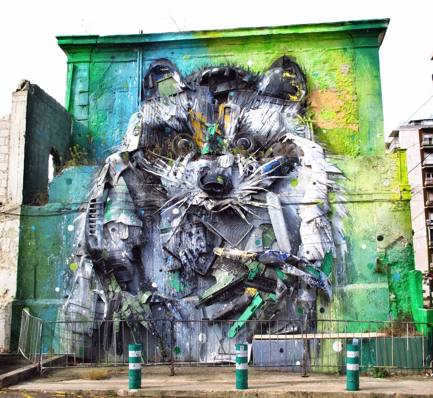 Street Art Schaub.JPG